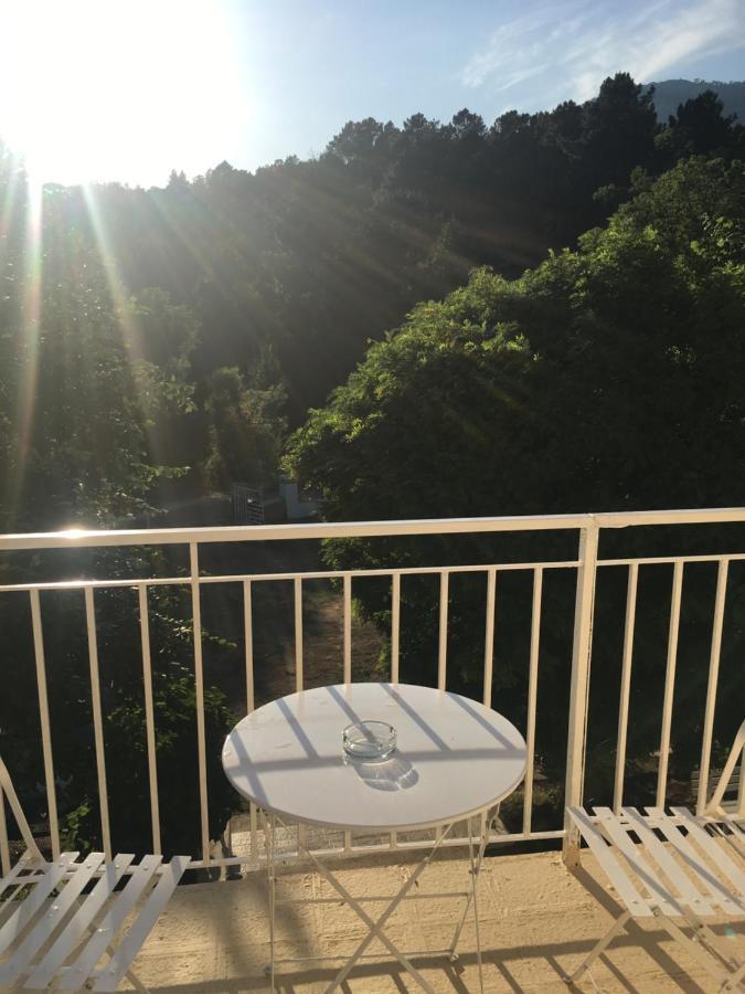Bed and Breakfast 1Er Consul Sas A Bussinca Bocognano Exterior foto